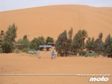 Oasis Merzouga