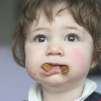 Alimentos infantiles: analizamos 17 marcas de galletas que más consumen los niños