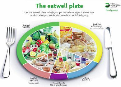 the_eatwell_plate.JPG