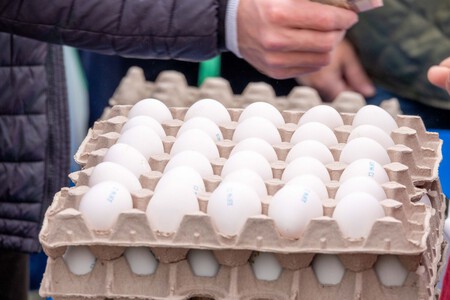 Carton Huevos