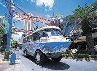 Aquabus, visitas anfibias en ciudades del mundo