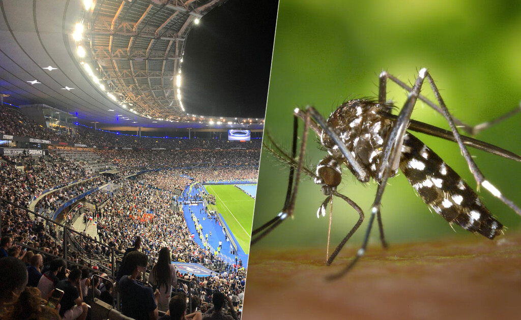 París ha añadido un nuevo deporte a las preparaciones de sus Juegos Olímpicos: la caza de mosquitos tigre