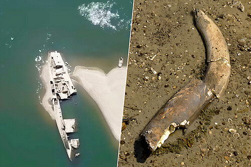 La mayor sequía que ha sufrido el Danubio ha hecho que “salgan a flote” más de 200 barcos de la Segunda Guerra Mundial