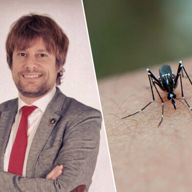Rubén Bueno, biólogo: "Lo que atrae a los mosquitos no es una sangre más dulce, sino los compuestos químicos que emitimos" 