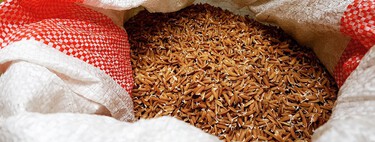 Los cuatro beneficios demostrados que tiene consumir arroz integral de forma habitual 