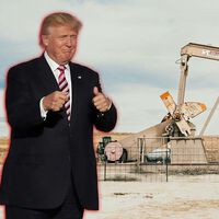 Trump ha abierto la boca y en tres minutos el precio del petróleo se ha desplomado. Pero se va a notar poco en el precio de la gasolina 