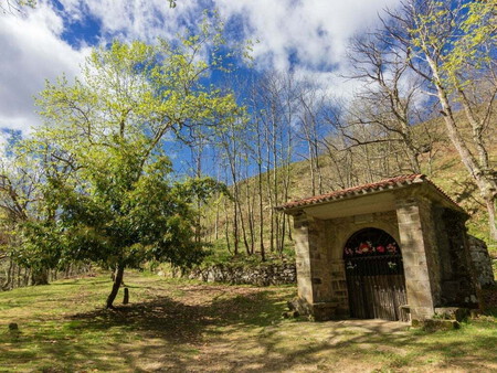 Saja Besaya