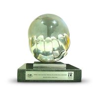 Premio al Joven Empresario 2010