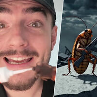 Iván, alias El Bicho Raro, experto en plagas: "El mejor insecticida contra las cucarachas no sirve de nada si antes no haces esto"