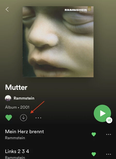 Spotify で音楽を iPhone にダウンロード