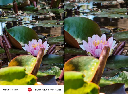 Xiaomi 17t Pro 10x Y Recorte