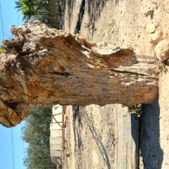 image01