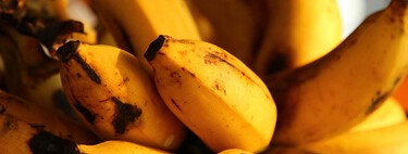 "Si los vas a consumir de inmediato, los plátanos con manchas cafés son la opción": Profeco, experto en consumo 