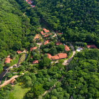 Compraron un terreno donde la ganadería había destruido el bosque. 20 años después, los árboles, manantiales y animales habían regresado