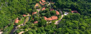 Compraron un rancho ganadero desértico en 1999: dos décadas después, plantaron 2 millones de árboles y resucitaron un ecosistema amazónico completo 