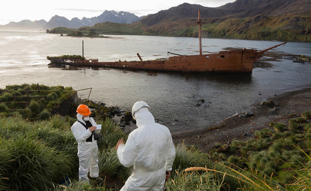 Hay una isla del Atlántico que ha logrado lo que jamás creímos posible: erradicar a las ratas