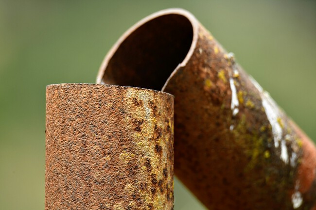 Shraga Kopstein Powg99qvk14 Unsplash