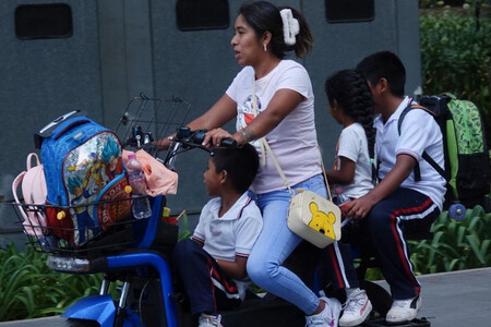 Bici Electrica Ley 4