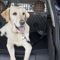 Nissan Rogue Dogue, un SUV Pet-Friendly para esos paseos inolvidables con tu mascota