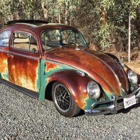 Volkswagen pide perdón por envenenar a monos durante su controvertido estudio anterior al Dieselgate