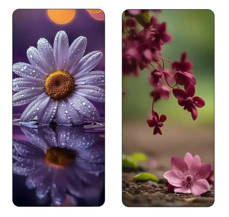 Screenshot 2025 11 27 195452