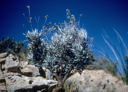La semana en el retrovisor Motorpasión