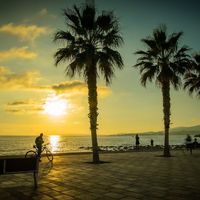 Palma en time-lapse. Vídeos inspiradores 