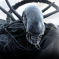 Ridley Scott anuncia novedades en la secuela de 'Alien: Covenant' y explica por qué no puede hacer más 'Blade Runner'. "No puedo culpar a mis abogados"