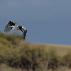 Foto 5 de 13 de la galería analisis-nikon-d810 en Xataka Foto