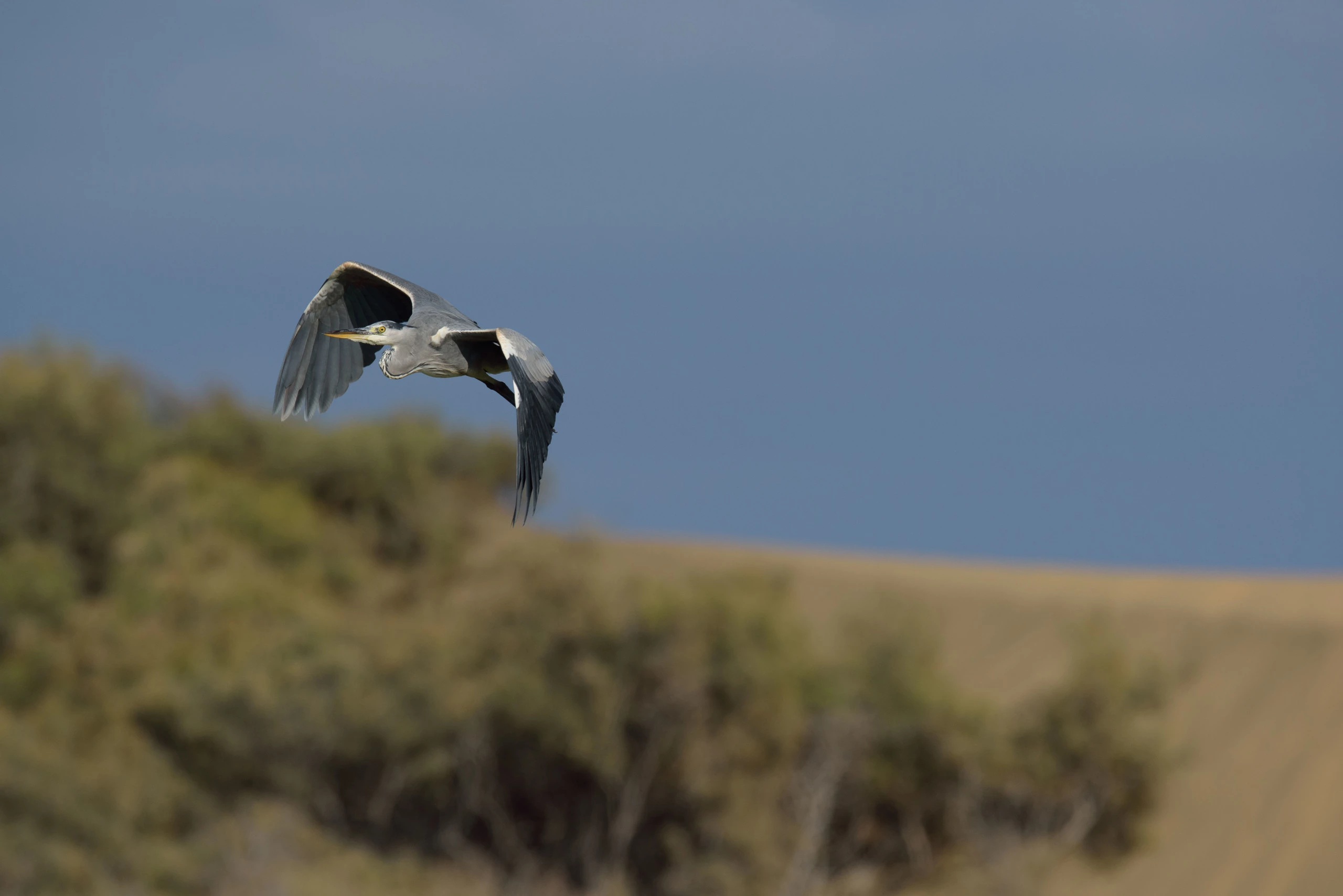 Foto de Análisis Nikon D810 (5/13)