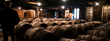 Se a questão é qual será o futuro do vinho, cada vez mais vinícolas de Bordeaux têm essa clareza: vinho sem álcool 