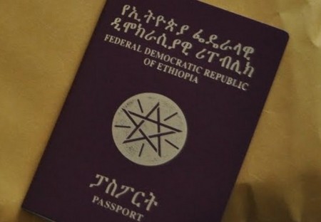 B6446441