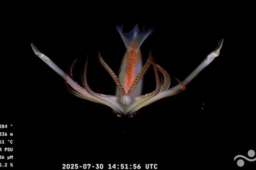 Expedicion Maritima Conicet