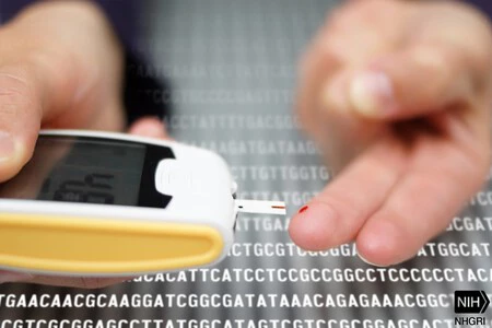 画像: Flickr 上の NIH