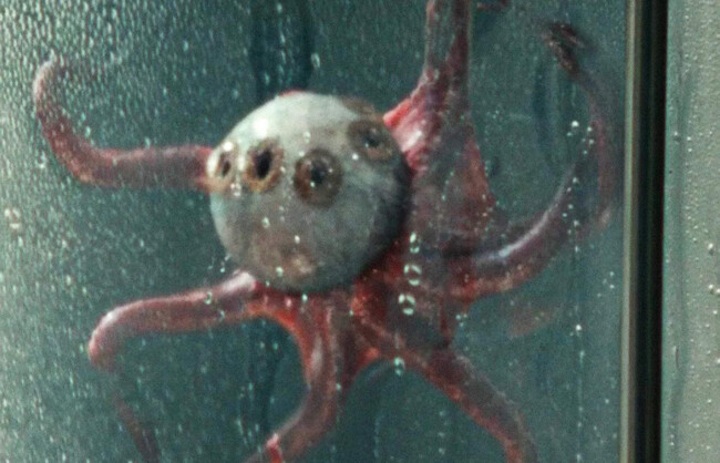 Alien Ojo