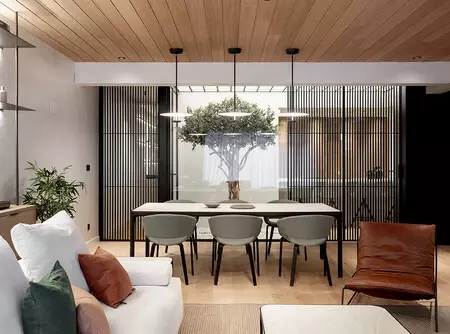 Un piso recién reformado en Bilbao con un diseño que gira en torno a un árbol situado en el patio
