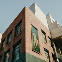 El Corte Inglés rebaja a mitad de precio las zapatillas casual de Polo Ralph Lauren que elevan cualquier outfit con vaqueros 