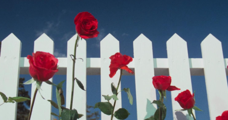 Captura De Pantalla 2025 12 09 152911