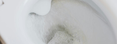 El truco doméstico para mantener el inodoro libre de sarro durante semanas: este mínimo gesto es mano de santo 