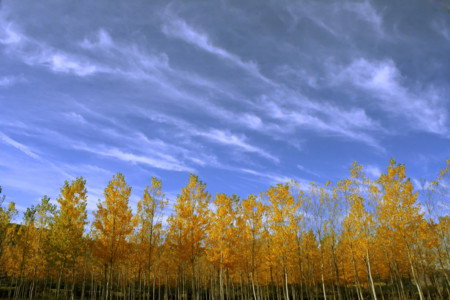 Citas para fotografiar el otoño: el nacimiento del Río Mundo