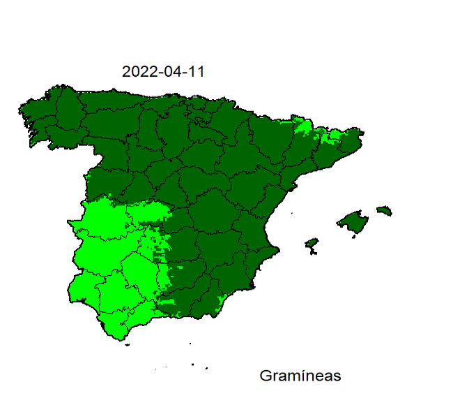 How To Know The Pollen Levels In Your Area And What To Do At Home To