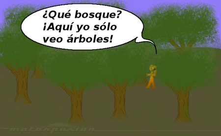 fauna en ruta: observación y atención