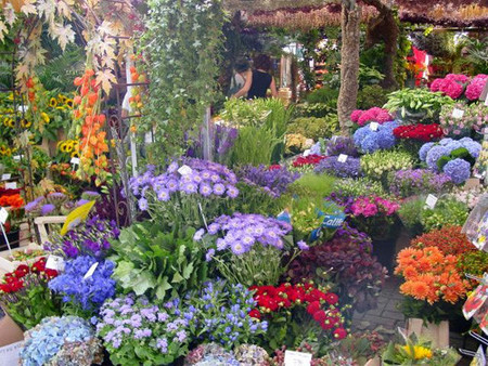 El mercado de flores en Ámsterdam
