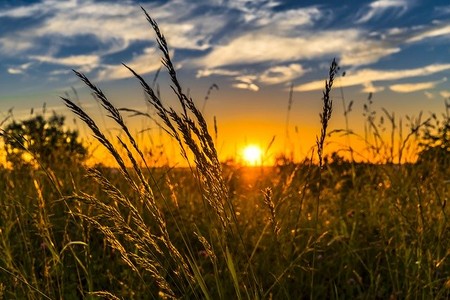 La mayor fuente de azufre para el medioambiente ya no son las centrales eléctricas de carbón sino la agricultura