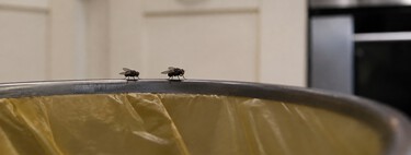 Hay algo en nuestra cocina que las moscas del cubo de basura no soportan. Y no es el vinagre que usamos para todo