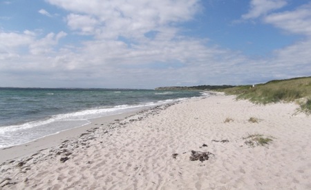 Ristinge 