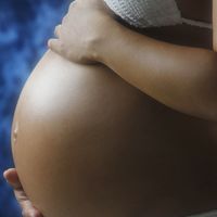 Cómo se reparte el aumento de peso en el embarazo