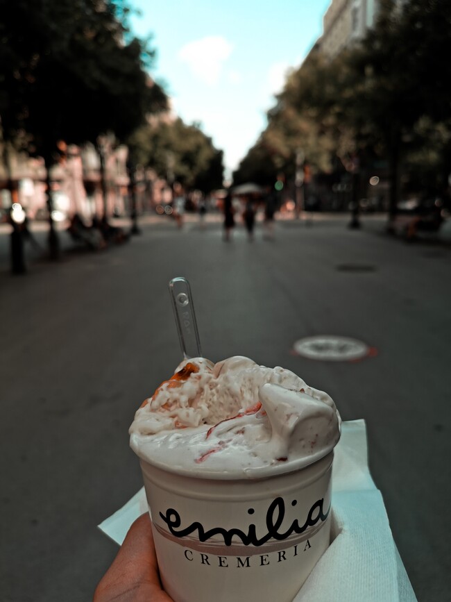 Llibert Losada Bgubsey6kgo Unsplash