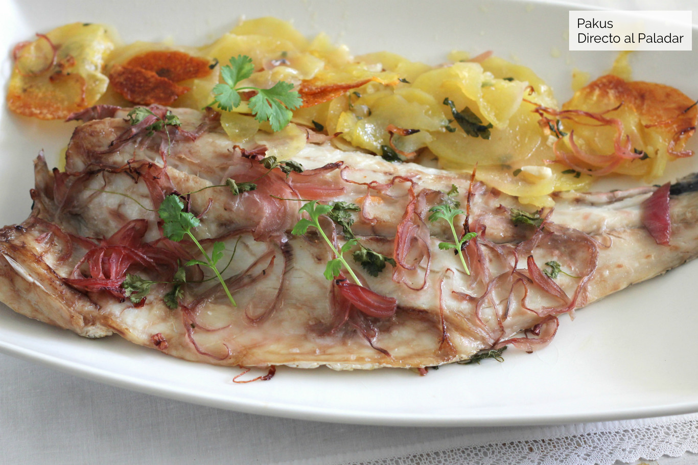 Corvina Al Horno Con Patatas Cebolla Y Cilantro Receta F cil De Pescado Corvina Al Horno Con Patatas Cebolla Y Cilantro Receta F cil De Pescado