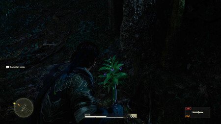 Planta Medicinal Mgs Delta